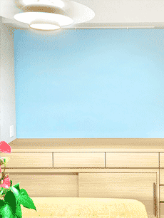 �ǖʎ��[�Ƌ�